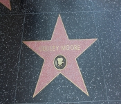 2014 LA CA WalkofFame 024